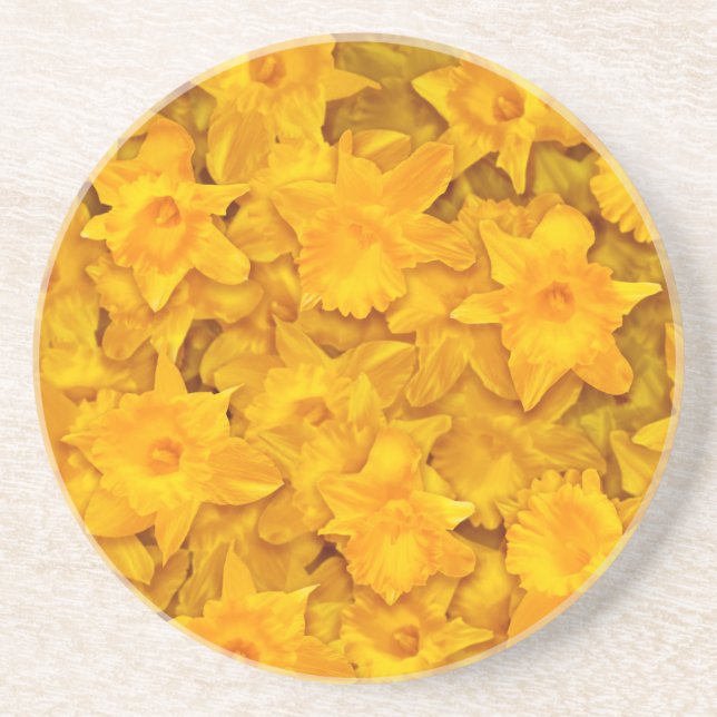 Posavasos Narcissus Flowers (Frente)