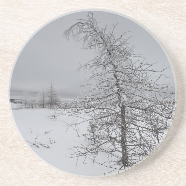 Posavasos Narnia (Frente)