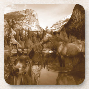 Posavasos nativo americano