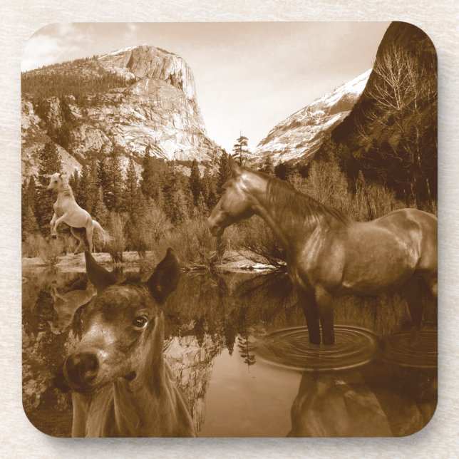 Posavasos nativo americano (Frente)