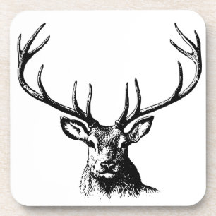 Posavasos Naturaleza de las Antillas Animales de Cerveza Cab