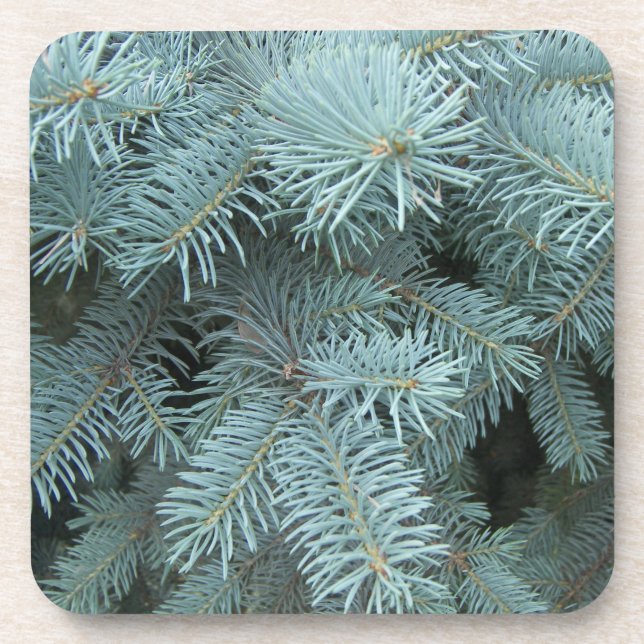 Posavasos Naturaleza rústica de abeto azul (Frente)