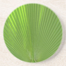 Naturalmente Guay Surfaces_Palm Frond radiating