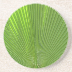 Posavasos Naturalmente Guay Surfaces_Palm Frond radiating