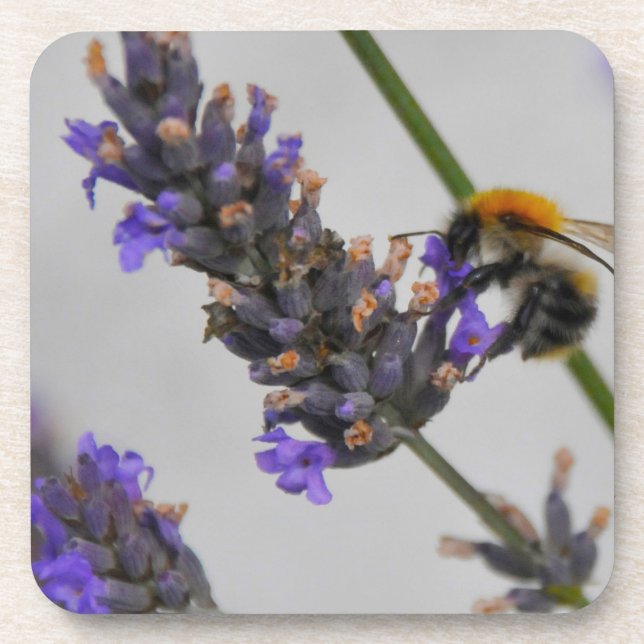 Posavasos Naturas trabajadores maravillosos (Frente)