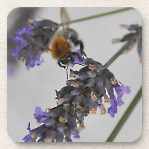 Posavasos Naturas trabajadores maravillosos