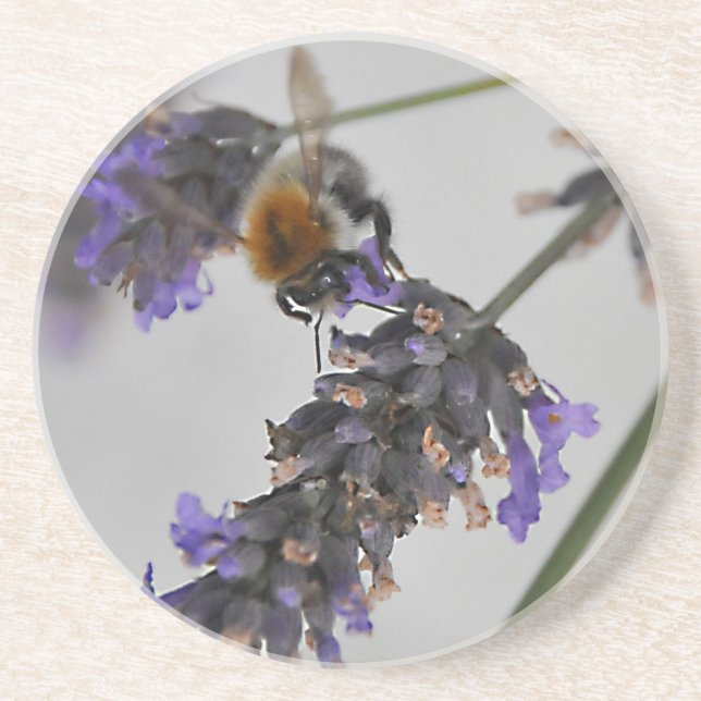 Posavasos Naturas trabajadores maravillosos (Frente)