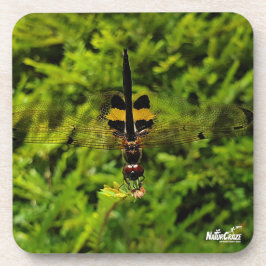 Posavasos NaturCraze B&Y Dragonfly Cojín de plástico duro