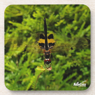 Posavasos NaturCraze B&Y Dragonfly Cojín de plástico duro