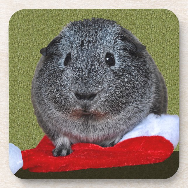 Posavasos Navidades de cerdo de Guinea (Frente)