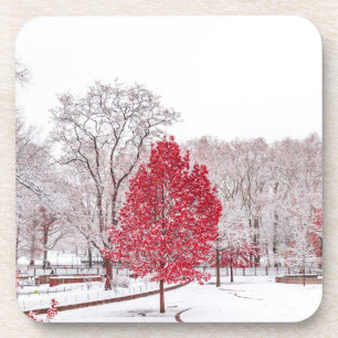 Posavasos navidades de invierno 89