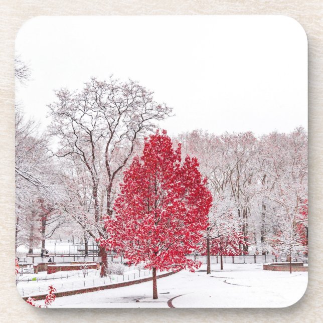 Posavasos navidades de invierno 89 (Frente)