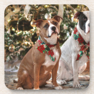 Posavasos Navidades inteligentes rescatan a Pitbull y al Bul