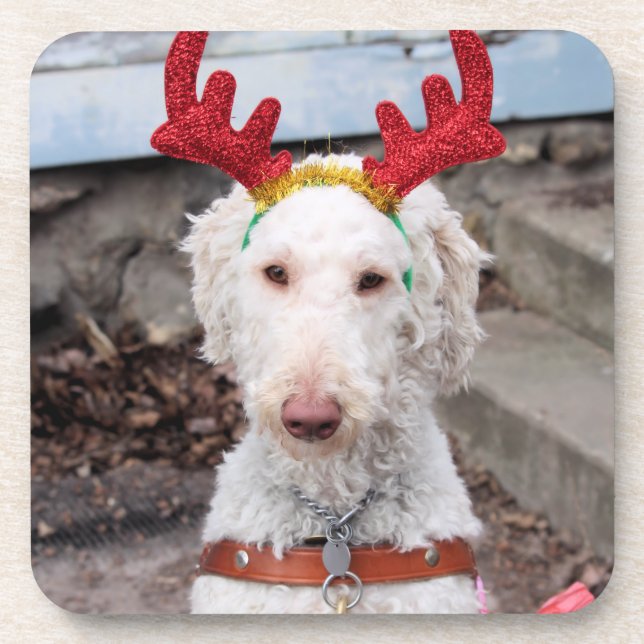 Posavasos Navidades Ollie (Frente)