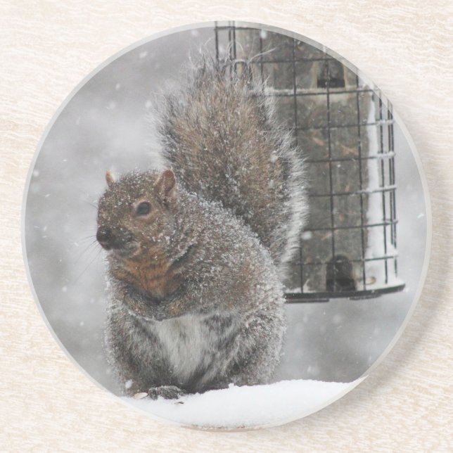 Posavasos Navidades Squirrel (Frente)