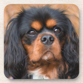 Posavasos Negro y Tan Cavalier Rey Charles Spaniel Dog