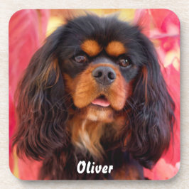 Posavasos Negro y Tan Cavalier Rey Charles Spaniel Dog