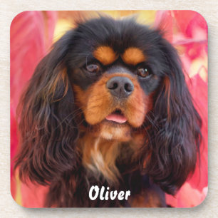 Posavasos Negro y Tan Cavalier Rey Charles Spaniel Dog