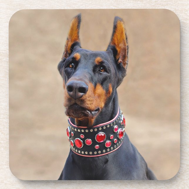 Posavasos Negro y Tan Doberman Pinscher en cuello de joyas (Frente)