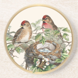 Posavasos Nido de pájaro Redpoll primavera marco dorado vint