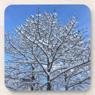 Posavasos Nieve de Islandia -