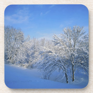 Posavasos Nieve récord en Louisville, Kentucky.