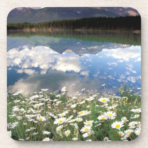 Posavasos Norteamérica, Canadá, Alberta, Parque Nacional Ban