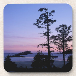 Posavasos Norteamérica, Canadá, Isla de Vancouver, árboles