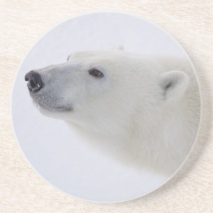 Posavasos Norteamérica, Canadá, Manitoba, Churchill. 6