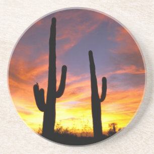 Posavasos Norteamérica, EE. UU., Arizona, Desierto de Sonora