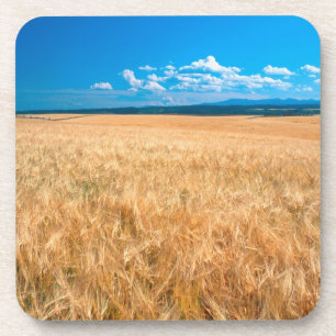 Posavasos Norteamérica, EE. UU., Idaho. Campo de cebada en