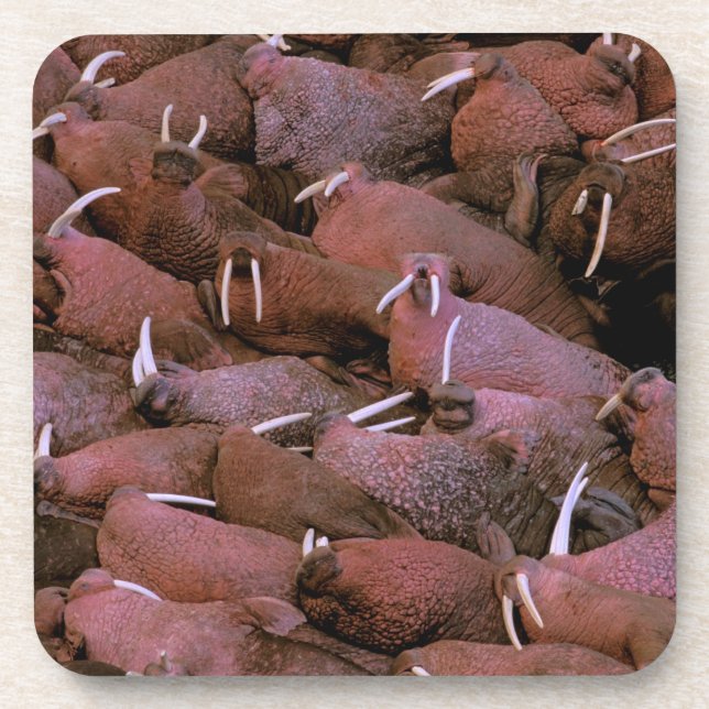 Posavasos Norteamérica, Estados Unidos, Alaska, Delta del Yu (Frente)