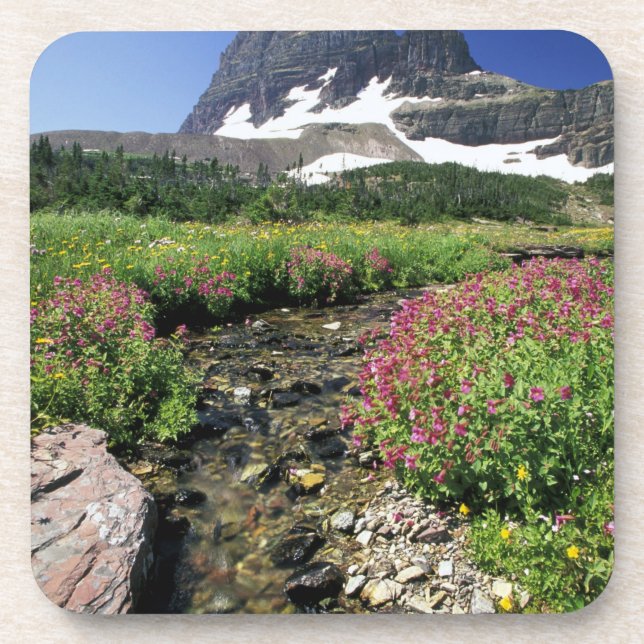 Posavasos Norteamérica, Estados Unidos, Montana, Glacier Nat (Frente)