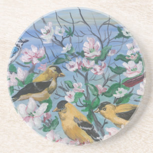 Posavasos Nueva colección de aves