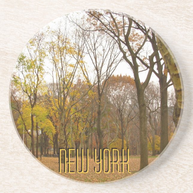 Posavasos Nueva York Coaster Central Park NY Souvenir Coaste (Frente)