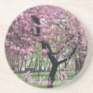 Posavasos Nueva York, NY Pink Cherry Blossom Tree Manhattan