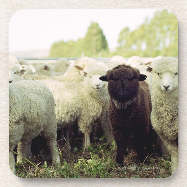 Posavasos Nueva Zelanda (Frente)