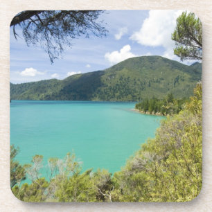 Posavasos Nueva Zelanda, Isla Sur, Marlborough Sounds.
