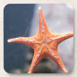Posavasos Nunca le preguntes a una estrella de mar