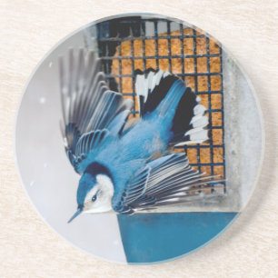 Posavasos Nuthatch blanco en nieve - foto original