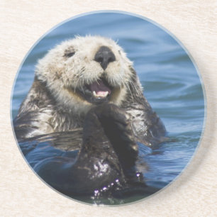 Posavasos Nutria marina de California Enhydra lutris) se arr