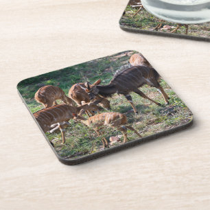Posavasos Nyala en la Naturaleza – Arte de Animales Africano