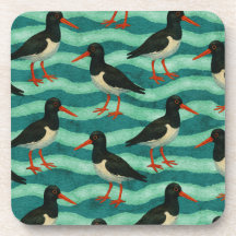 Ojo Capturando Ostras Catcher