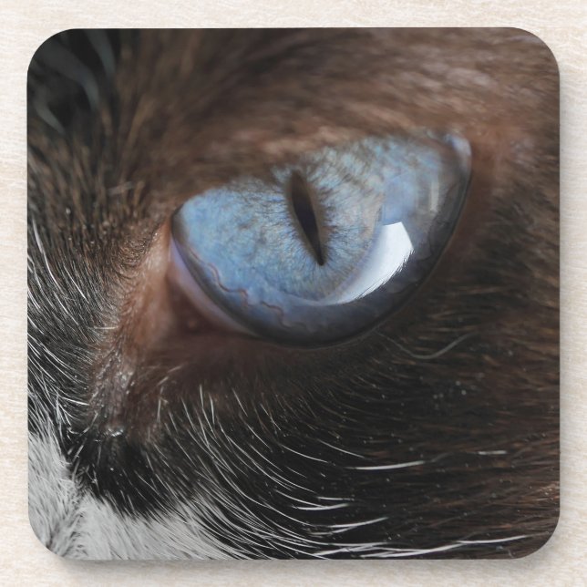 Posavasos Ojo del gato.JPG (Frente)