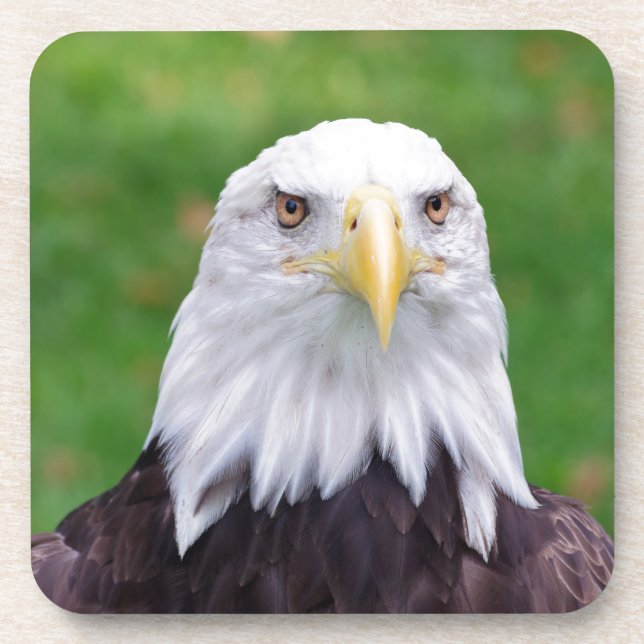 Posavasos Ojos de un águila calva (Frente)