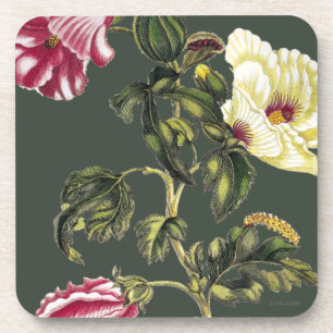 Posavasos Okra