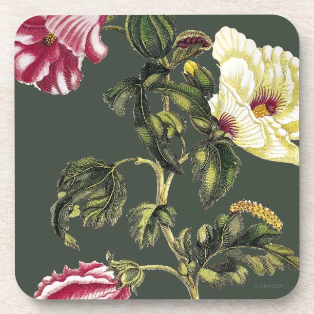 Posavasos Okra (Frente)