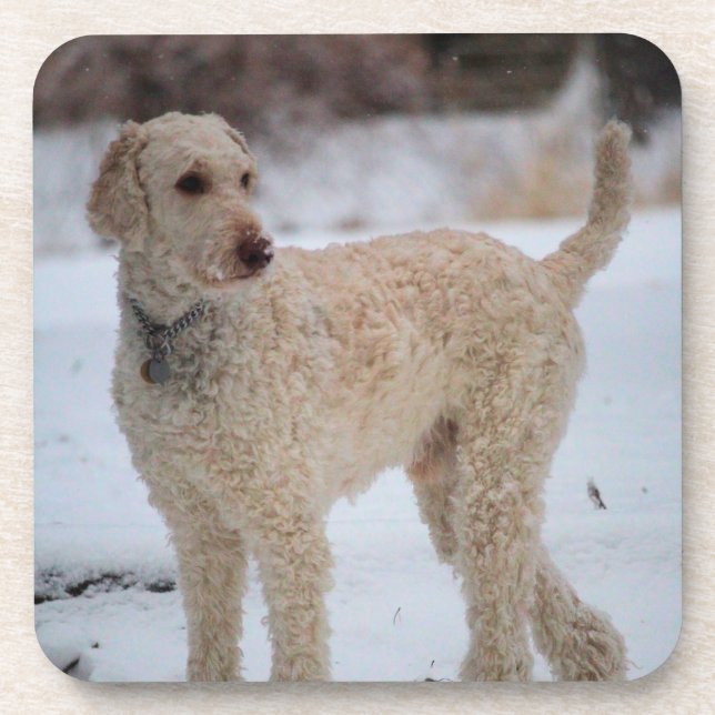 Posavasos Ollie (Frente)