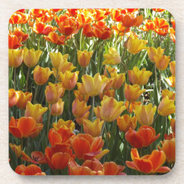 Posavasos Orange-&-Yelow-Tulips.jpg