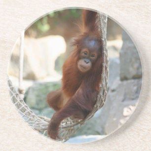 Posavasos OrangUtan 001
